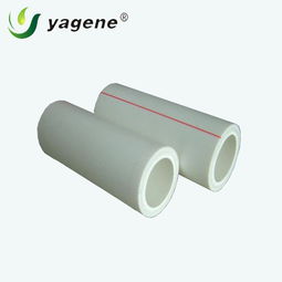 雅潔管業(yè)ppr管加盟 廠家直銷PPR水管,雅潔管業(yè)ppr管加盟 廠家直銷PPR水管生產(chǎn)廠家,雅潔管業(yè)ppr管加盟 廠家直銷PPR水管價(jià)格