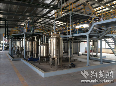 湖北省同心院士專家服務團服務獻智助企業(yè)創(chuàng)新發(fā)展